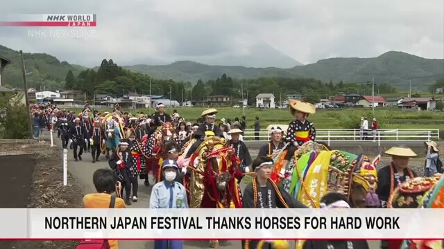 'Chagu Chagu Umakko' horse festival held in Iwate, northern Japan